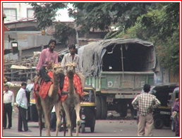 Pune1b