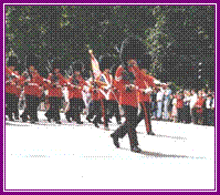 GUARD1B