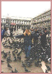 venec1b
