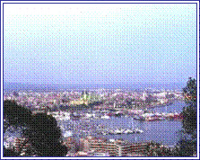 palma1b